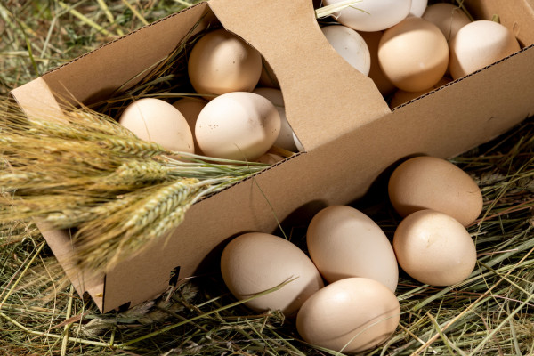 Eggs from Pszczyna for every family 2